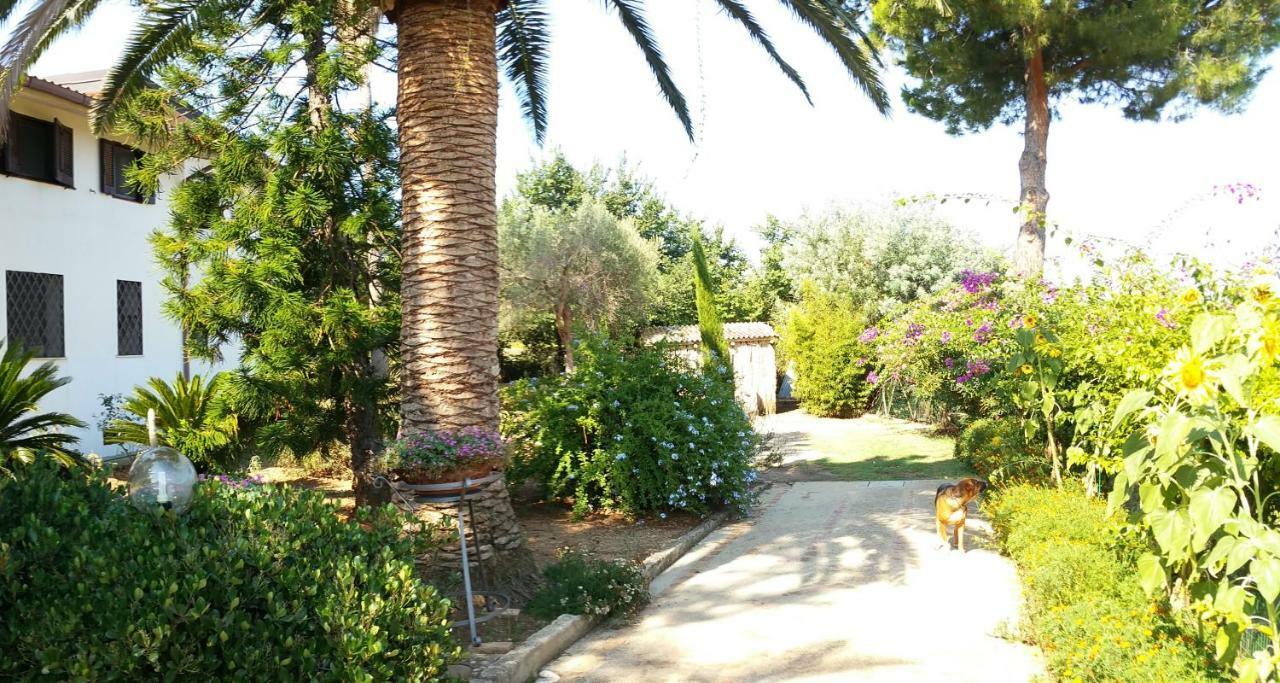 Villa Isabella Zambrone Εξωτερικό φωτογραφία