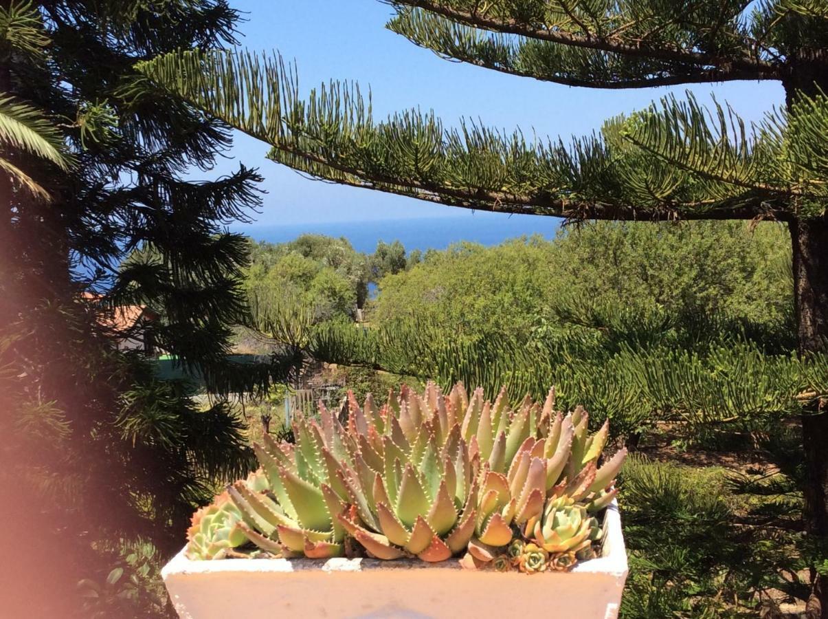 Villa Isabella Zambrone Εξωτερικό φωτογραφία