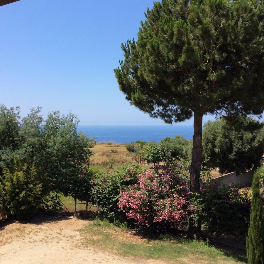 Villa Isabella Zambrone Εξωτερικό φωτογραφία